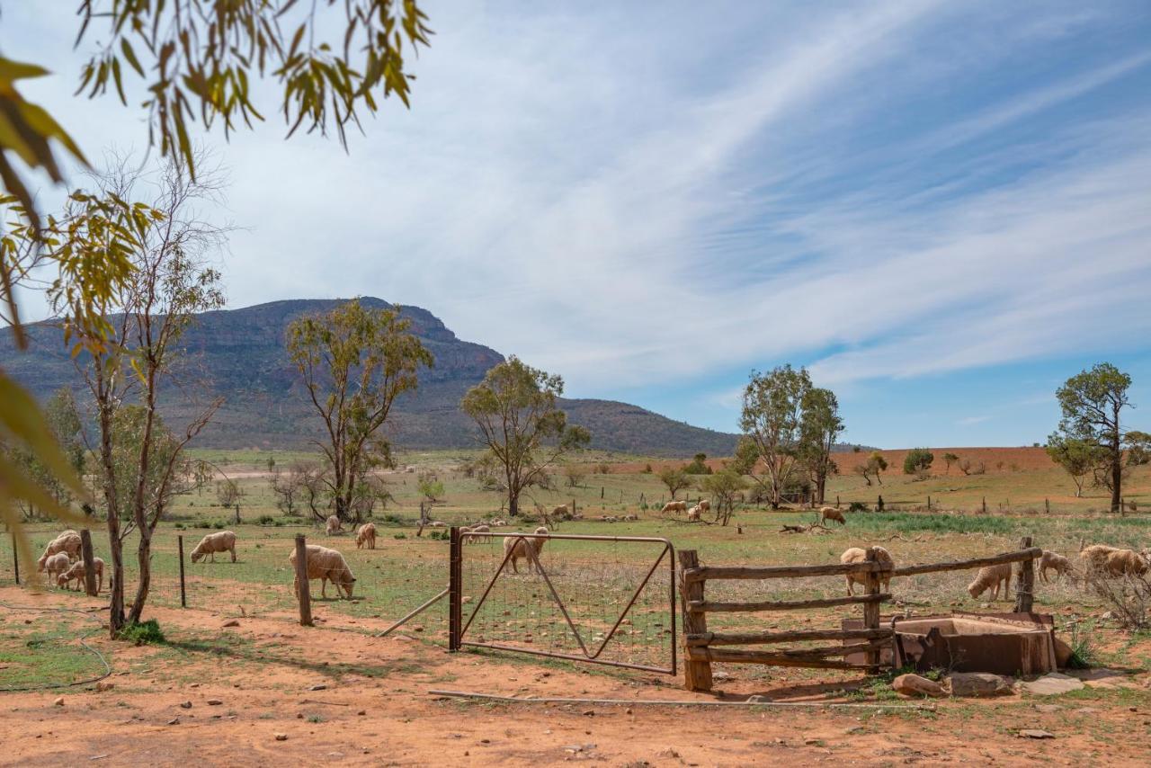 Rawnsley Park Station Hotel Flinders Ranges Екстериор снимка