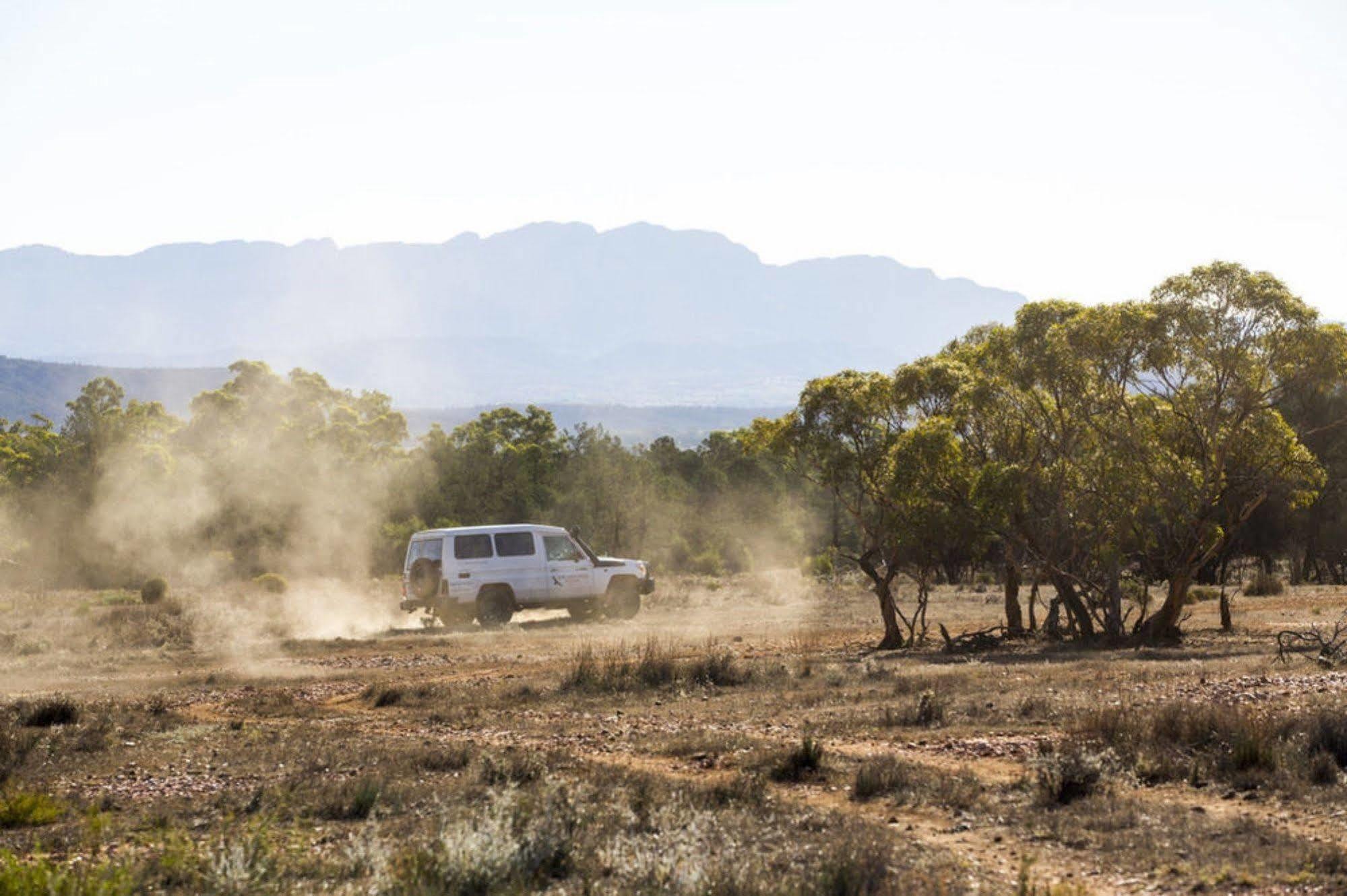 Rawnsley Park Station Hotel Flinders Ranges Екстериор снимка